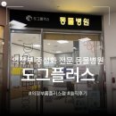 도그플러스 동물병원 간석점 | 의정부 도그플러스 동물병원 | 2살 토이푸들 암컷 중성화 수술 후기 | 금오동 홈플러스 | 몽구 동생 빙고