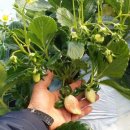 진주산소 이미지