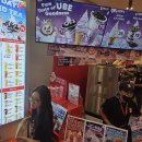 미쉐(MIXUE) 티스토리