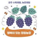 둘만농장 이미지