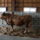 신동방농장 이미지