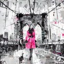 창조컬렉션