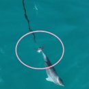 생명의 그물 1 이미지