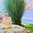 울산시립미술관 이미지