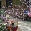 기다리다 이미지