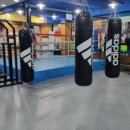 레드복싱 이미지