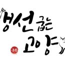 599생선 네이버블로그