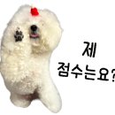 방배천로5-21 이미지