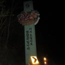 연록