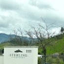 2022-1111 | 서부 여행 나파밸리] 스털링 빈야드 Sterling Vineyards 와이너리 투어 워크인 방문 후기 (와인 구입까지)