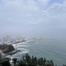 은광수지 | 바다 인류