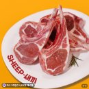 프렌치홈 | 양갈비 추천 캠핑 바비큐 잡내 적은 어린양 SHEEP새끼 프렌치랙 후기