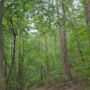 산음자연휴양림 이미지