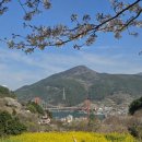 노량나루터 공원 | 남해 가볼만한곳 | 남해 유채꽃 명소 노량공원 나루터 휴게소, 왕지 벚꽃길 (4/5 방문)
