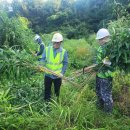 대나무랜드 이미지