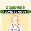 영주시장수면보건지소 | 경상북도 영주시 장수면 교정치과 총정리