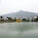가평 파이낸셜뉴스
