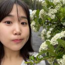 올레 PC방(광장점) | 제주도 일기✈️
