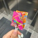 광주 첨단 분위기 좋은 양식 맛집 '어코닉' 파스타 필라프 후기 (모임/기념일 추천)
