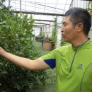 김필환농장 이미지