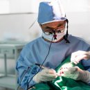 인플란트치과의원 이미지