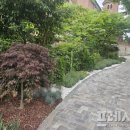 묘봉4리 이미지