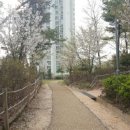 서천근린공원 이미지