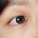 신용사안경 이미지