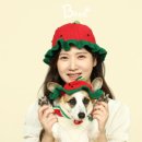 스튜디오코기 이미지