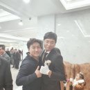 행복대게 이미지