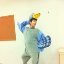 비둘기농장 이미지