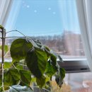 행복너싱홈(조치원노인전문병원) | [공지] 파주요양원 봄맞이 대변신, 대형 테라스가 생겨요