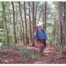 화개중학교 이미지