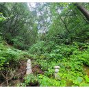 용화산염소농장 이미지