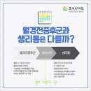 월경과 혼재 이미지