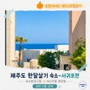 숙소편 1탄｜서귀포 법환포구 숙소 내돈내산 솔직후기(feat.숙소 한 곳 고정 vs 숙소 이동 장단점비교)