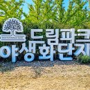 10월6일(일) 가을, 꽃길드림 걷기(답사 사진) 이미지