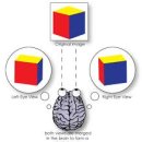 밝은눈안경원 이미지