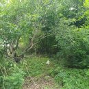 청수12로 이미지