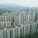 분당-315 이미지