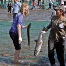 연어의고향 이미지