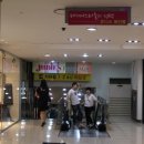 쥬디스1 이미지