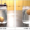 태호식품
