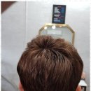 수원-1381 이미지