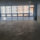 배곧코코동물병원 이미지