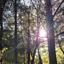 산책하는날 이미지