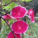 정구농장 이미지