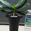 (주)누리팜 이미지