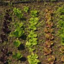 하도언니네민박 이미지