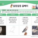 쉽게 배우는 기초 서양화 | 미술학원 | 말똥말똥 올빼미 수업 후기 – 고급 재료로 배우는 관찰력·표현력 수업 _ 홍익아트 미술...